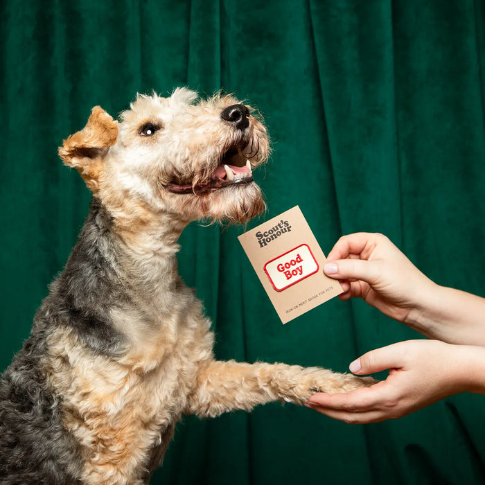 Scout's Honour, Good Boy, Iron-On Patch for Pets