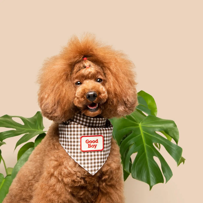 Scout's Honour, Good Boy, Iron-On Patch for Pets