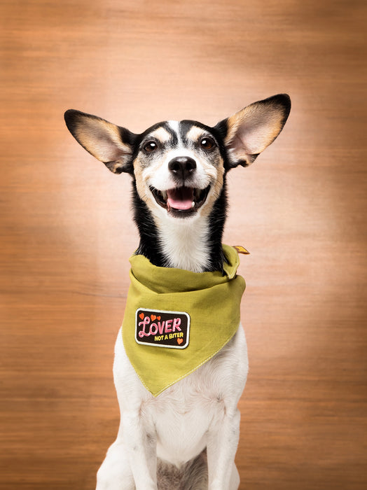 Scout's Honour, Lover Not a Biter, Iron-On Patch for Pets