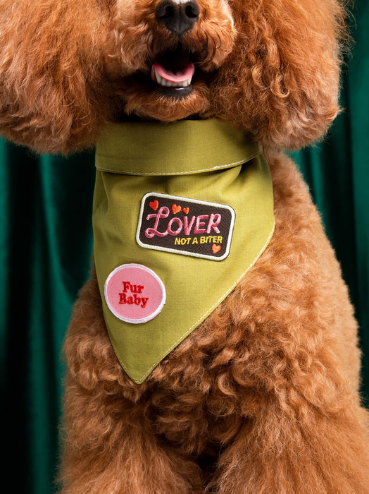 Scout's Honour, Lover Not a Biter, Iron-On Patch for Pets