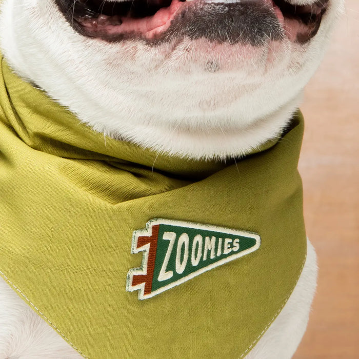 Scout's Honour, Zoomies, Iron-On Patch for Pets