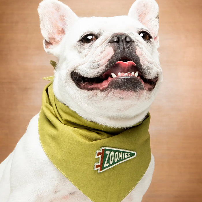 Scout's Honour, Zoomies, Iron-On Patch for Pets