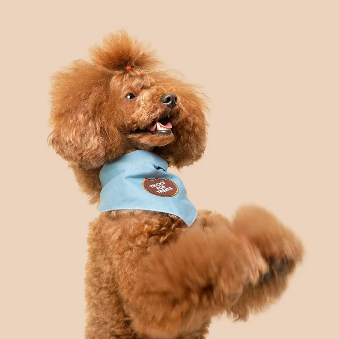 Scout's Honour, Tricks for Treats, Iron-On Patch for Pets