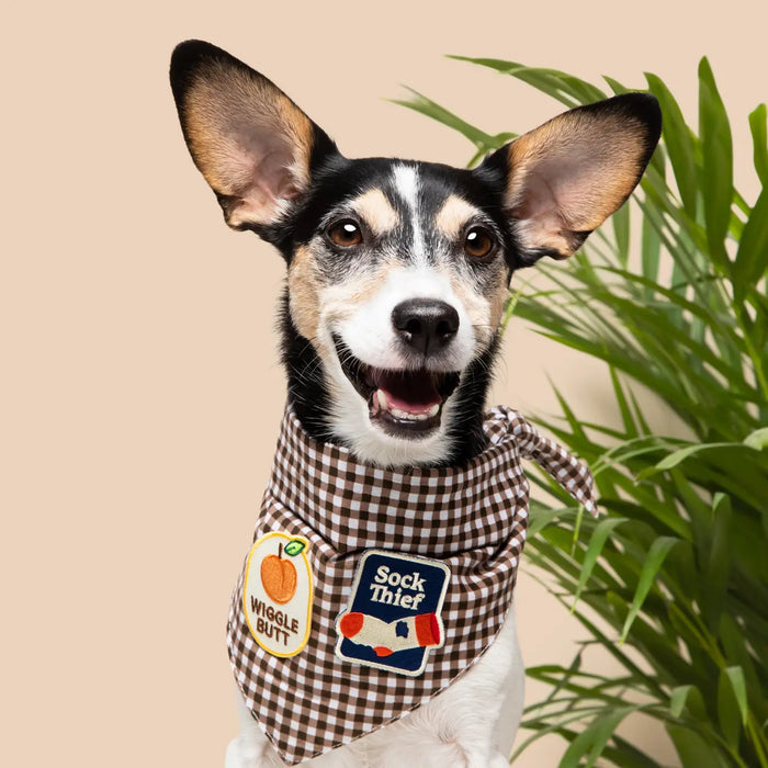 Scout's Honour, Wiggle Butt, Iron-On Patch for Pets