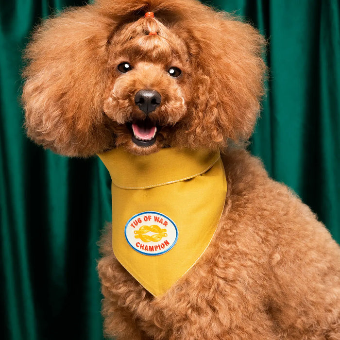 Scout's Honour, Tug of War Champion, Iron-On Patch for Dogs & Cats