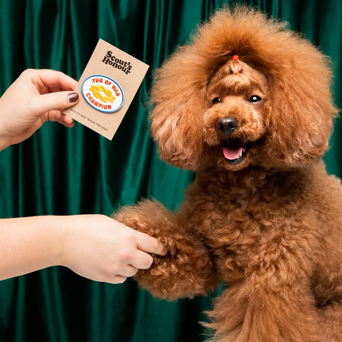 Scout's Honour, Tug of War Champion, Iron-On Patch for Dogs & Cats