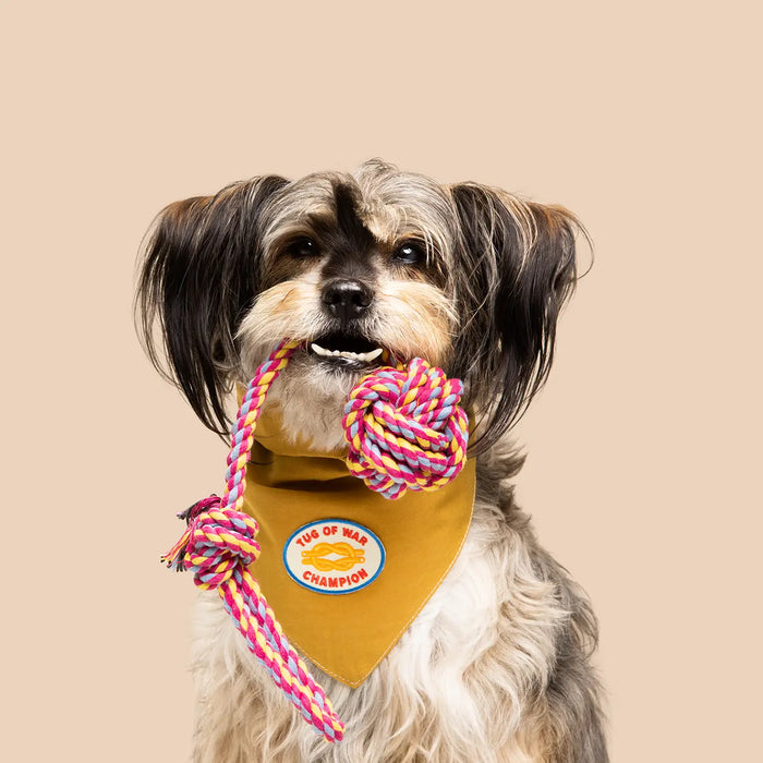 Scout's Honour, Tug of War Champion, Iron-On Patch for Dogs & Cats