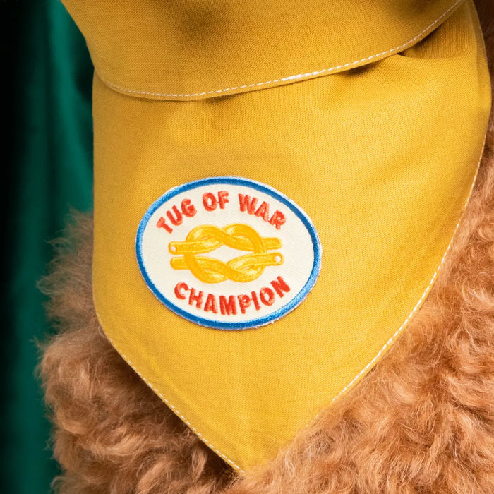 Scout's Honour, Tug of War Champion, Iron-On Patch for Dogs & Cats