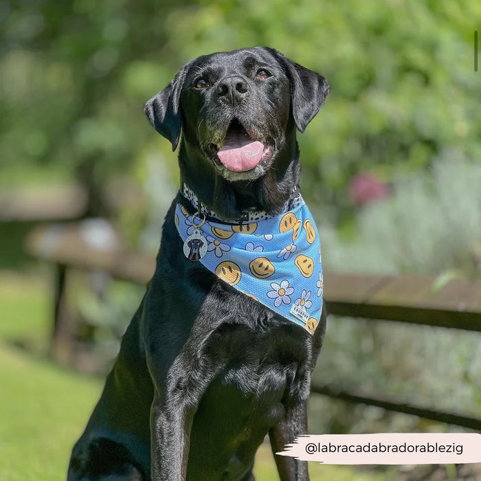 Smiley Face Pawty Tent Bandana