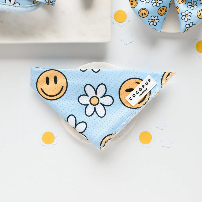 Smiley Face Pawty Tent Bandana