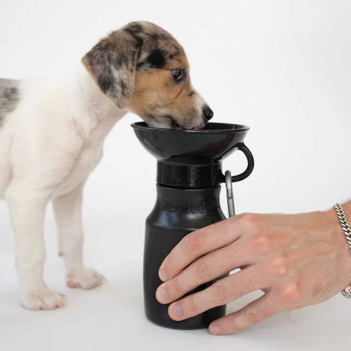 Springland Dog Water Travel Bottle - Mini