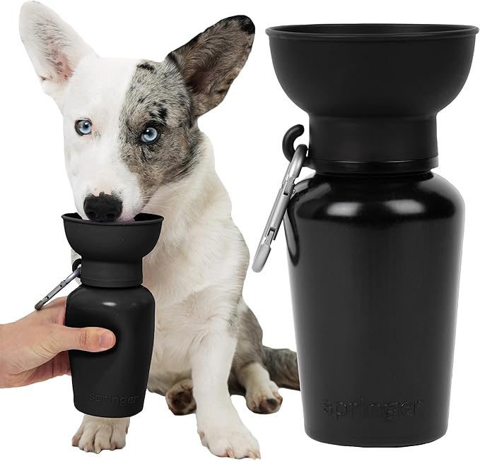 Springland Dog Water Travel Bottle - Mini
