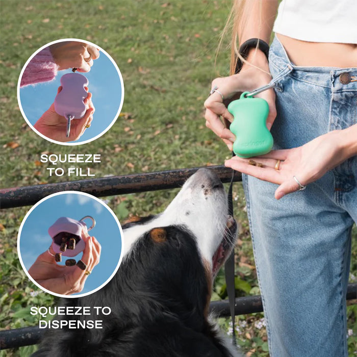 Springland Silicone Dog Treat Dispenser Pouch