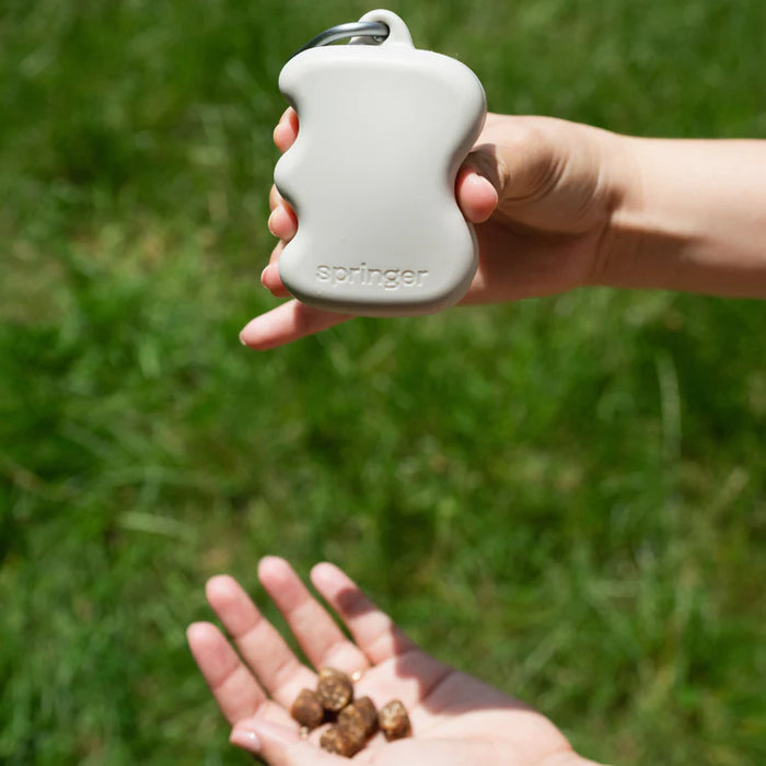 Springland Silicone Dog Treat Dispenser Pouch