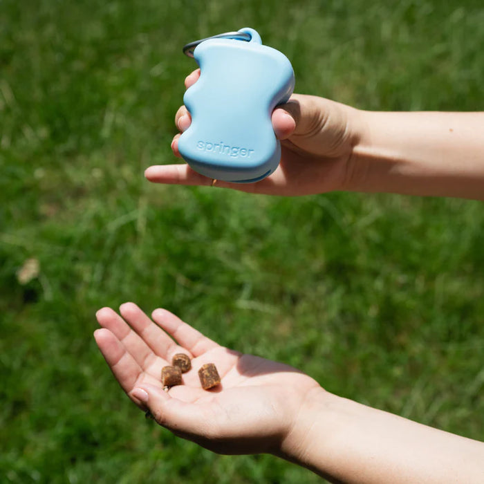 Springland Silicone Dog Treat Dispenser Pouch