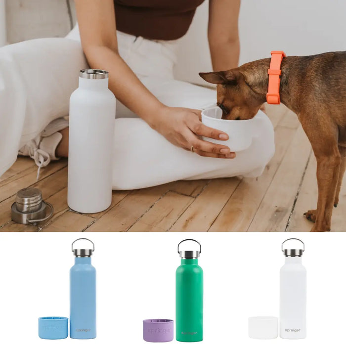 Dog & Me Reusable Insulated Bottle, Green and Lilac