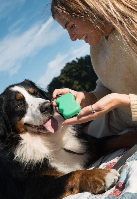 Silicone Dog Treat Dispenser Pouch - 3 colours