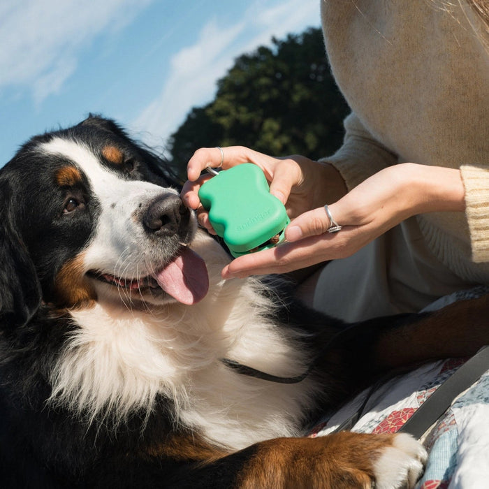 Springland Silicone Dog Treat Dispenser Pouch