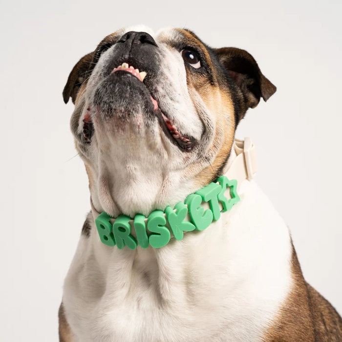 Springland Dog Collar Charms