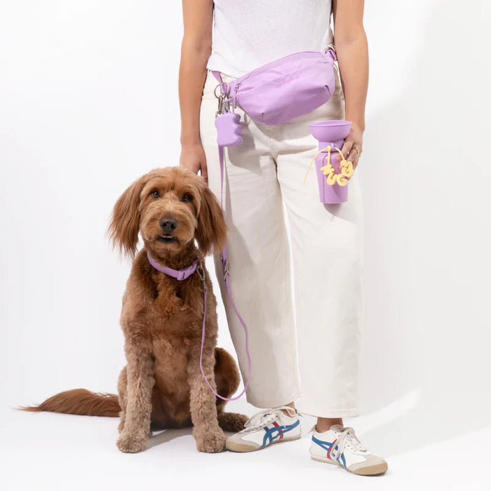 Person holding a purple dog leash and two bags, standing next to a brown dog on a white background