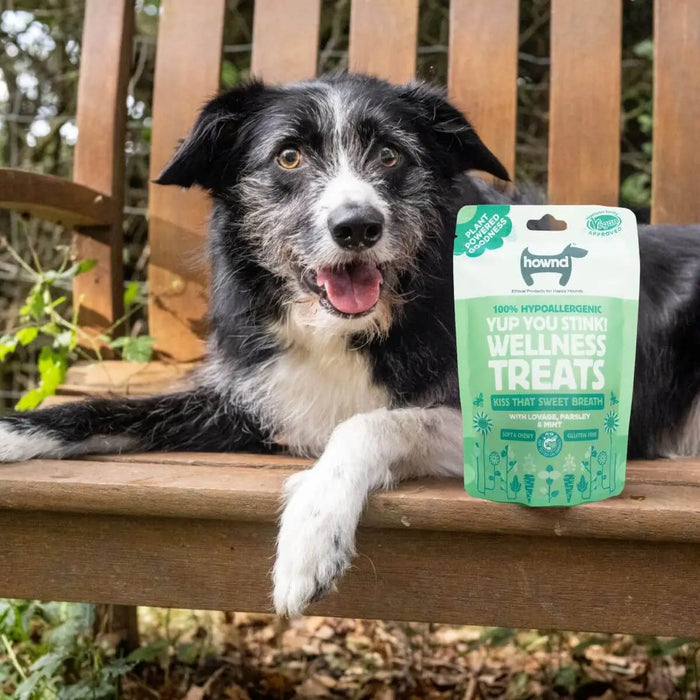 "Yup You Stink" Hypoallergenic Wellness Treats for Dogs - Smelly Breath - 100g