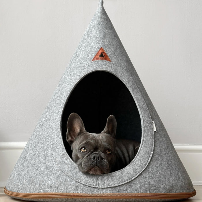 Grey Pet Cave