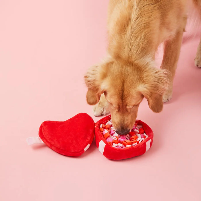 The Foggy Dog Be My Valentine Heart Burrow Dog Toy