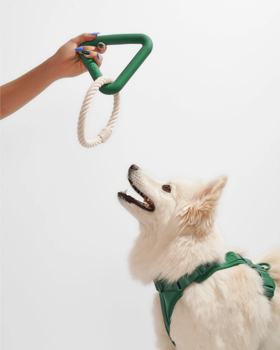 Triangle Rubber & Cotton Rope Tug Chew Toy for Dogs