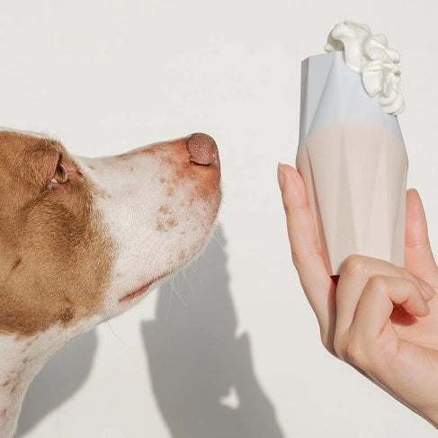 "The Ubbe" Enrichment Treat Dispenser Dog Toy