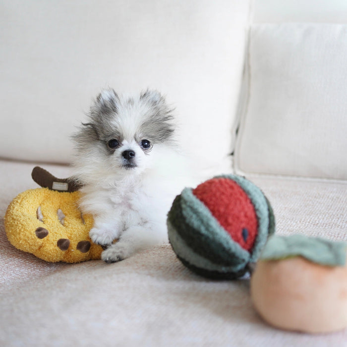 Watermelon Pop Soft Snuffle Enrichment Toy for Dogs