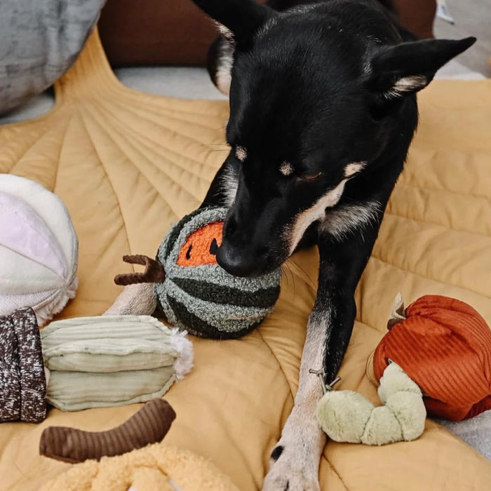 Watermelon Pop Soft Snuffle Enrichment Toy for Dogs