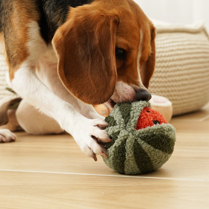 Watermelon Pop Soft Snuffle Enrichment Toy for Dogs