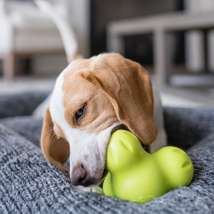 West Paw Zogoflex Tuxs —