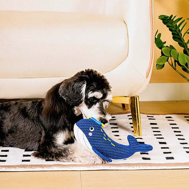 Whale, Durable Dog Toy