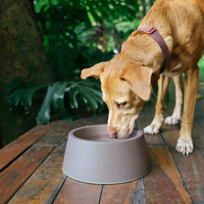 Zee.Dog Naturals Nuts Husks Melamine Dog Bowl