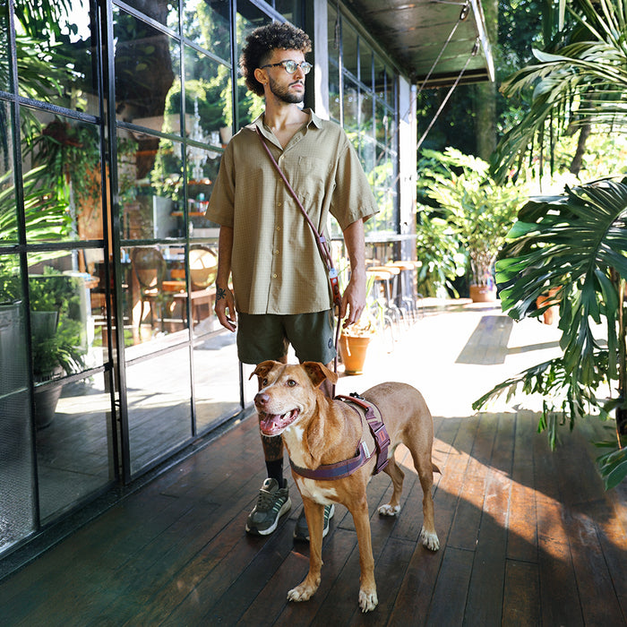 Zee.Dog Naturals Hands-Free Dog Lead - Cocoa