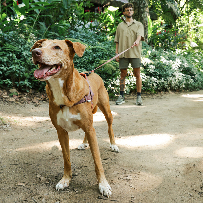 Zee.Dog Naturals Adjustable Long Dog Lead - Cocoa