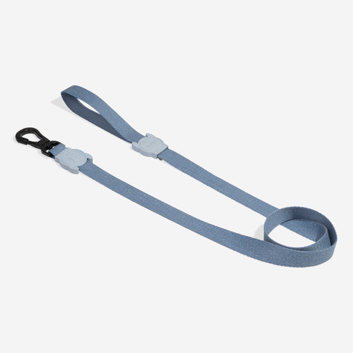 Blue dog leash on a white background