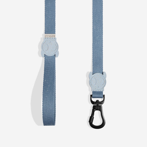 Blue dog leash with a clip on a white background