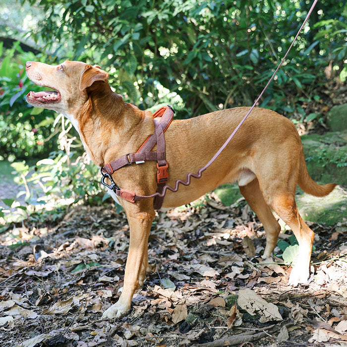 Zee.Dog Naturals Cocoa SofterWalk Anti Pull Dog Harness