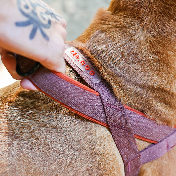 Zee.Dog Naturals Cocoa SofterWalk Anti Pull Dog Harness