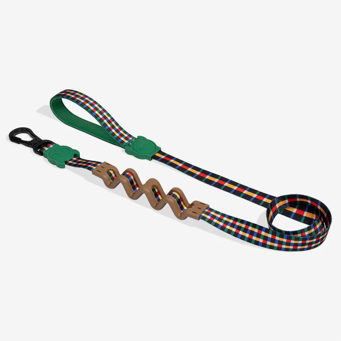 Plaid dog lead on a white background