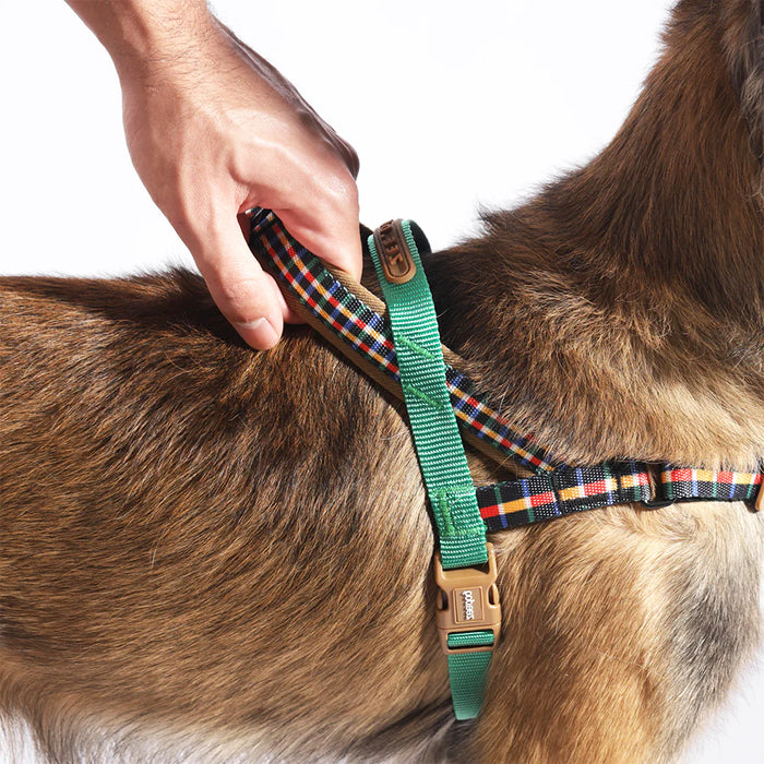 a hand holding a handle on a dog harness being work by a dog