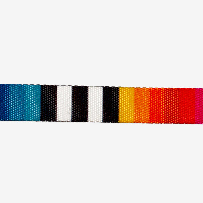 Multicolored striped cat collar on a white background