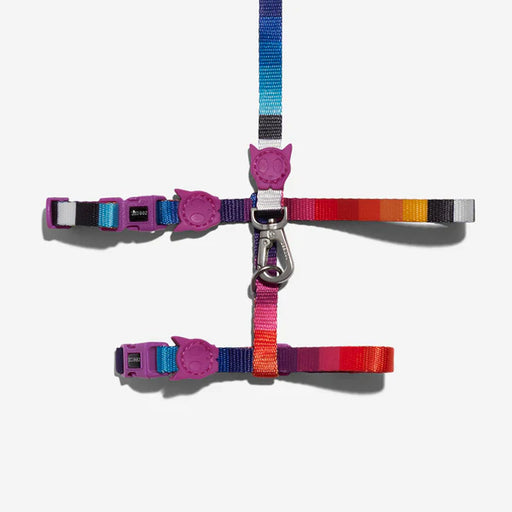 prisma cat harness and lead