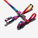 prisma cat harness and lead