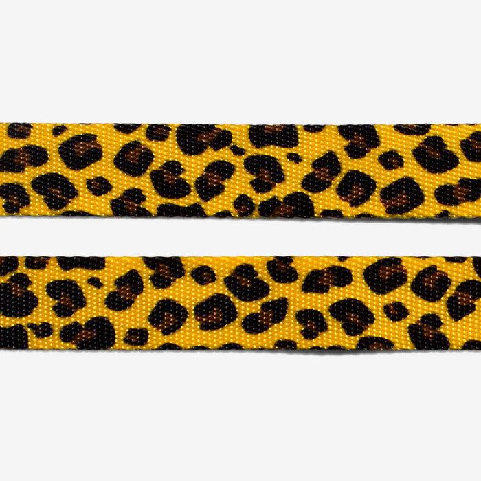 Leopard print belt strap on a white background
