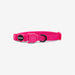 pink led cat collar