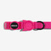 pink led cat collar close up