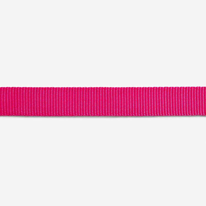 pink led cat collar close up
